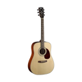 Cort Acoustic Earth 60 Guitar Pack