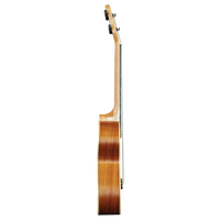 Barnes & Mullins BMUK6T Solid Top Tenor Spruce Mahogany Ukulele
