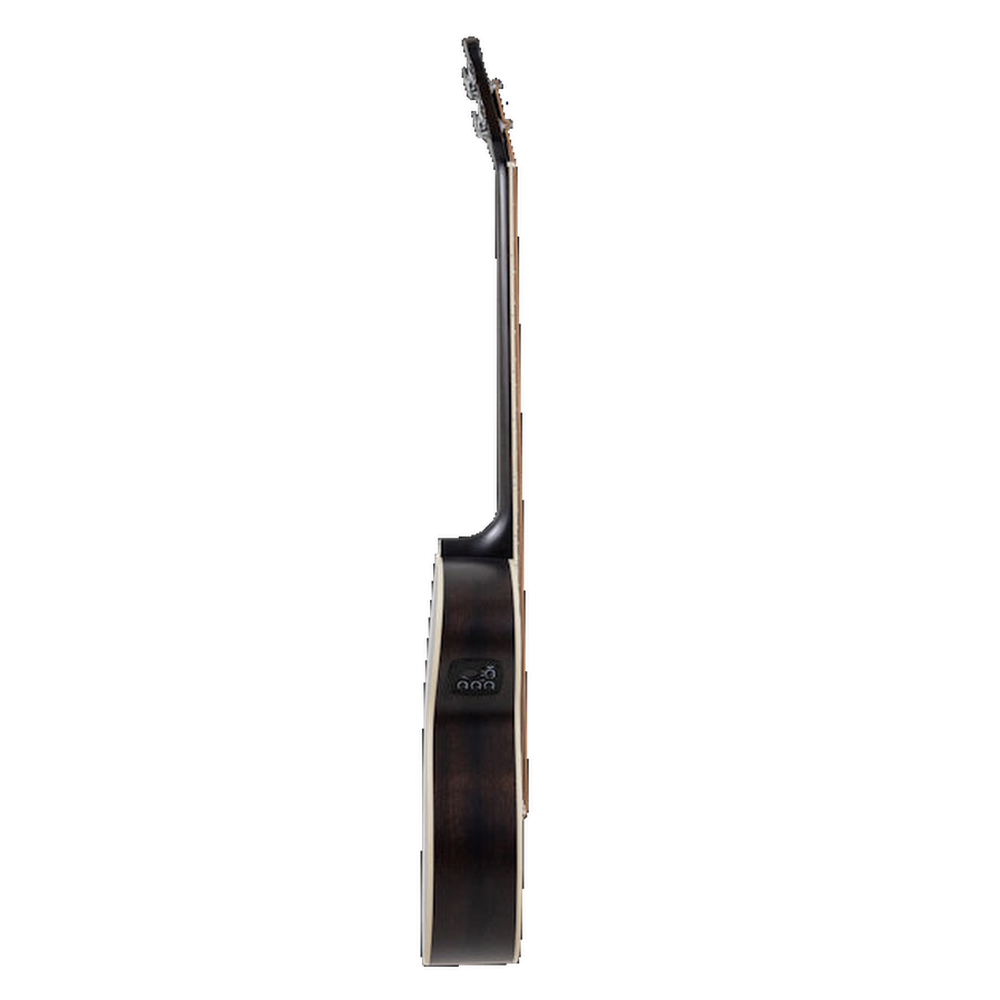 Applause E-Acoustic Bass Wood Classics AEB96-5E Jumbo Bass Matte Black