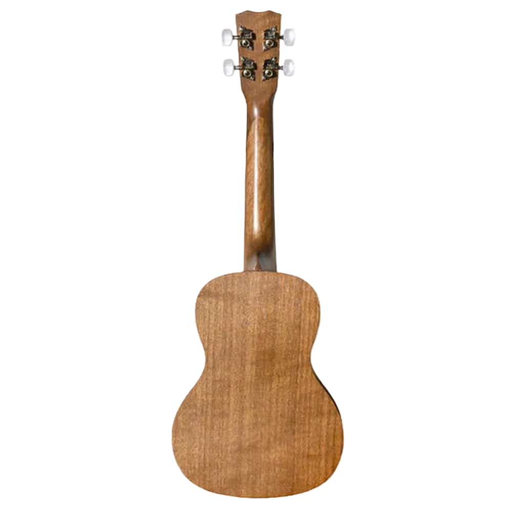 Cordoba UP100 Concert Protege Ukulele Pack