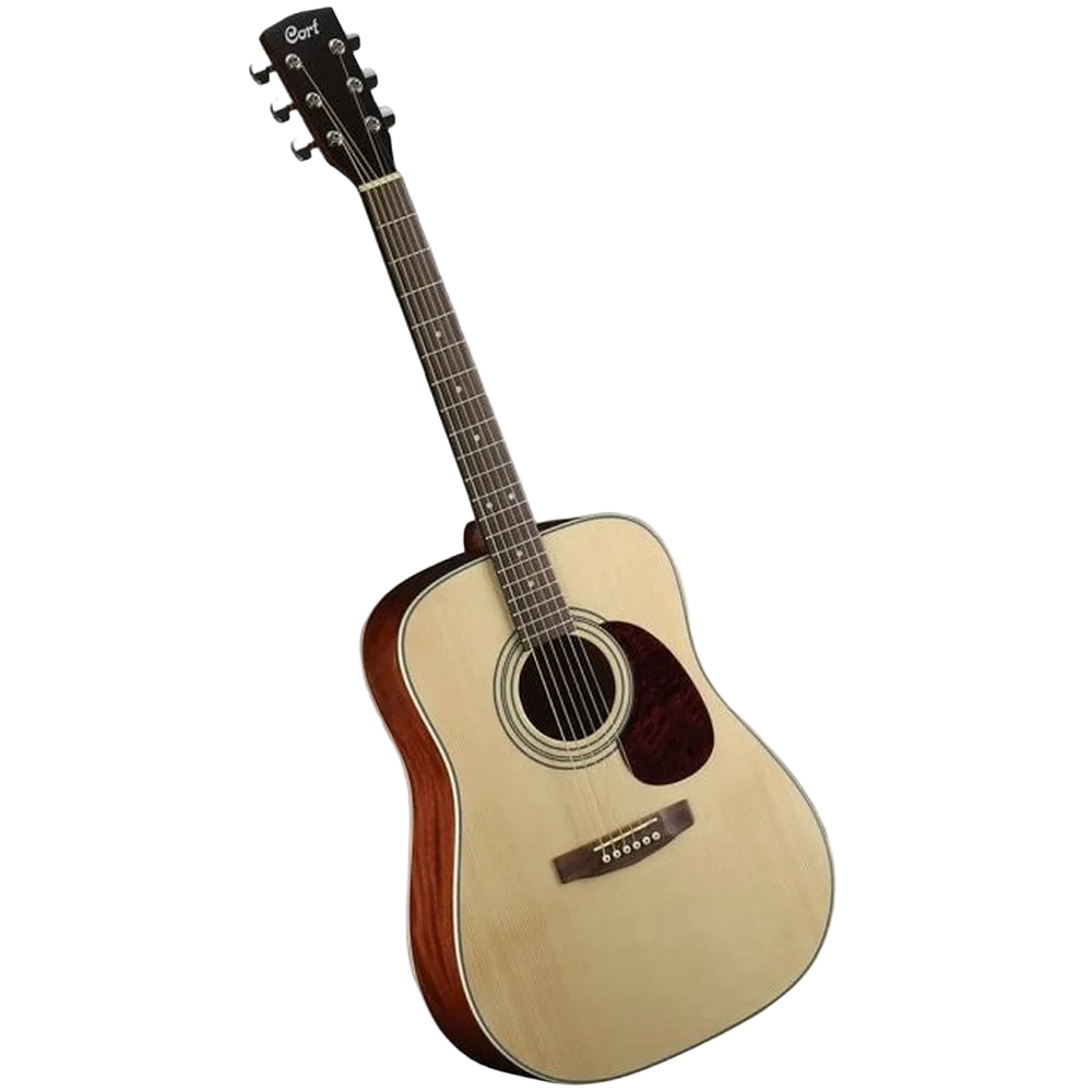 Cort Acoustic Earth 60 Guitar Pack