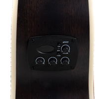 Applause E-Acoustic Bass Wood Classics AEB96-5E Jumbo Bass Matte Black