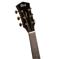 Cort Acoustic/Electric Gold Series DC6 Dreadnought