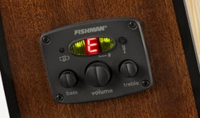 FISHMAN PREAMP AND TUNER