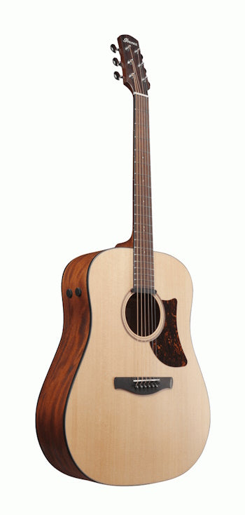 Ibanez AAD100E OPN Acoustic Electric Guitar Open Pore Natural