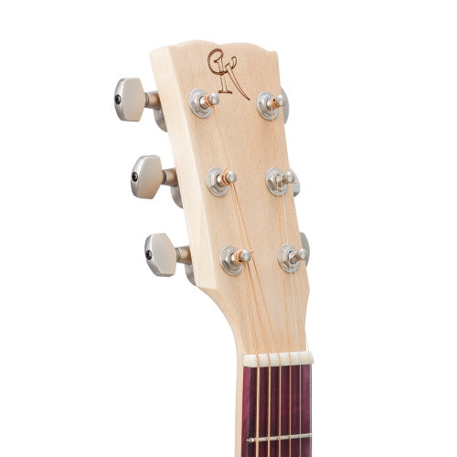 Kremona M10GGE Steel String Green Globe Acoustic Solid Spruce Top with case & LR Baggs pickup