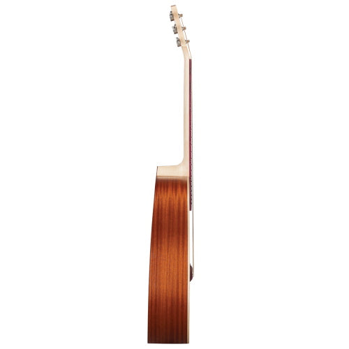 Kremona M10GGE Steel String Green Globe Acoustic Solid Spruce Top with case & LR Baggs pickup
