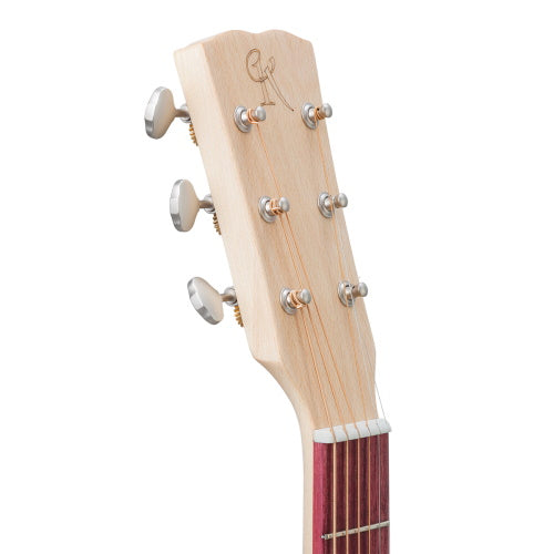 Kremona M15GGE Steel String Green Globe Acoustic Solid Spruce Top with case and LR Baggs pickup