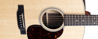 Martin D-16E Rosewood Acoustic Electric Guitar including Soft Gig Bag
