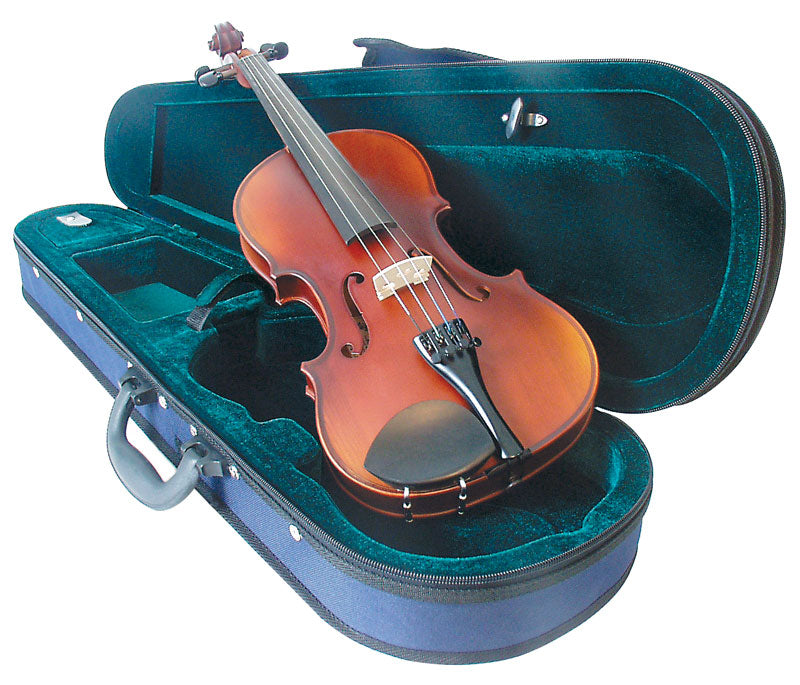 Raggetti RV2 Violin 4/4 Outfit