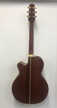 Takamine Japanese Acoustic Electric TEN40C