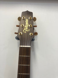 Takamine Japanese Acoustic Electric TEN40C