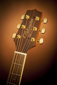 Takamine G50 Series NEX AC/EL Guitar with Cutaway in Brown Sunburst