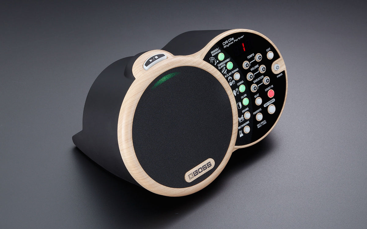 BOSS DR-01S Rhythm Partner