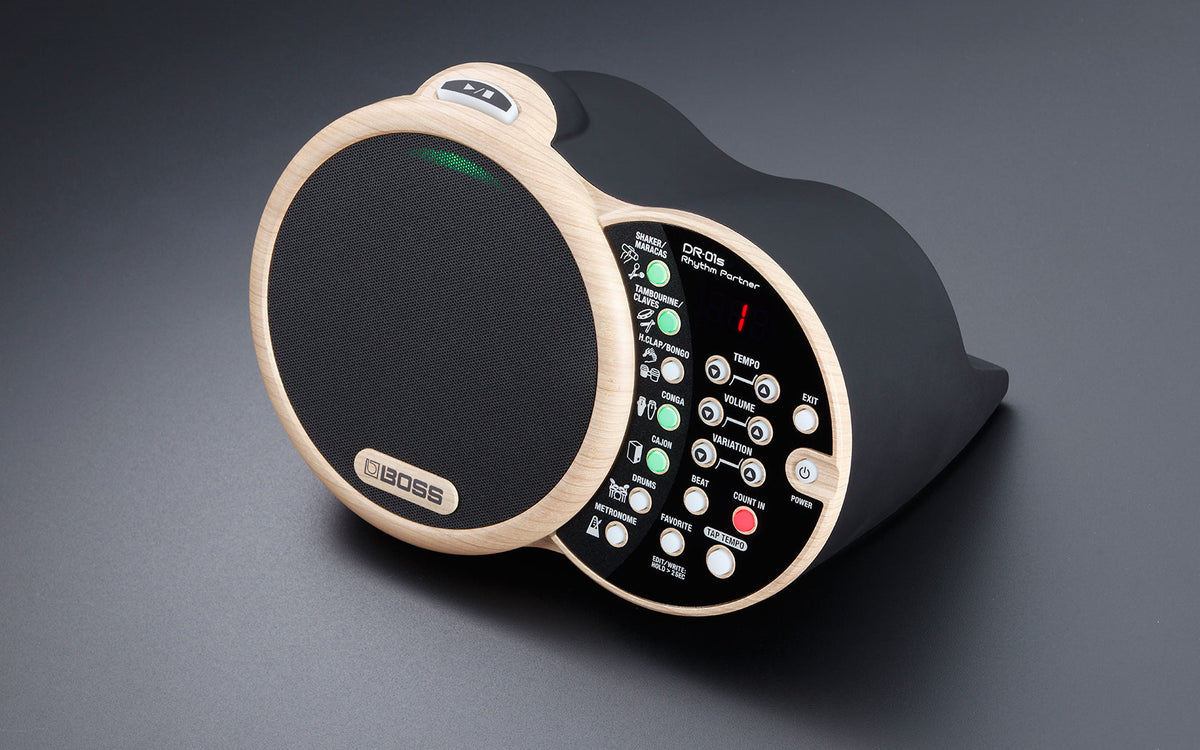 BOSS DR-01S Rhythm Partner