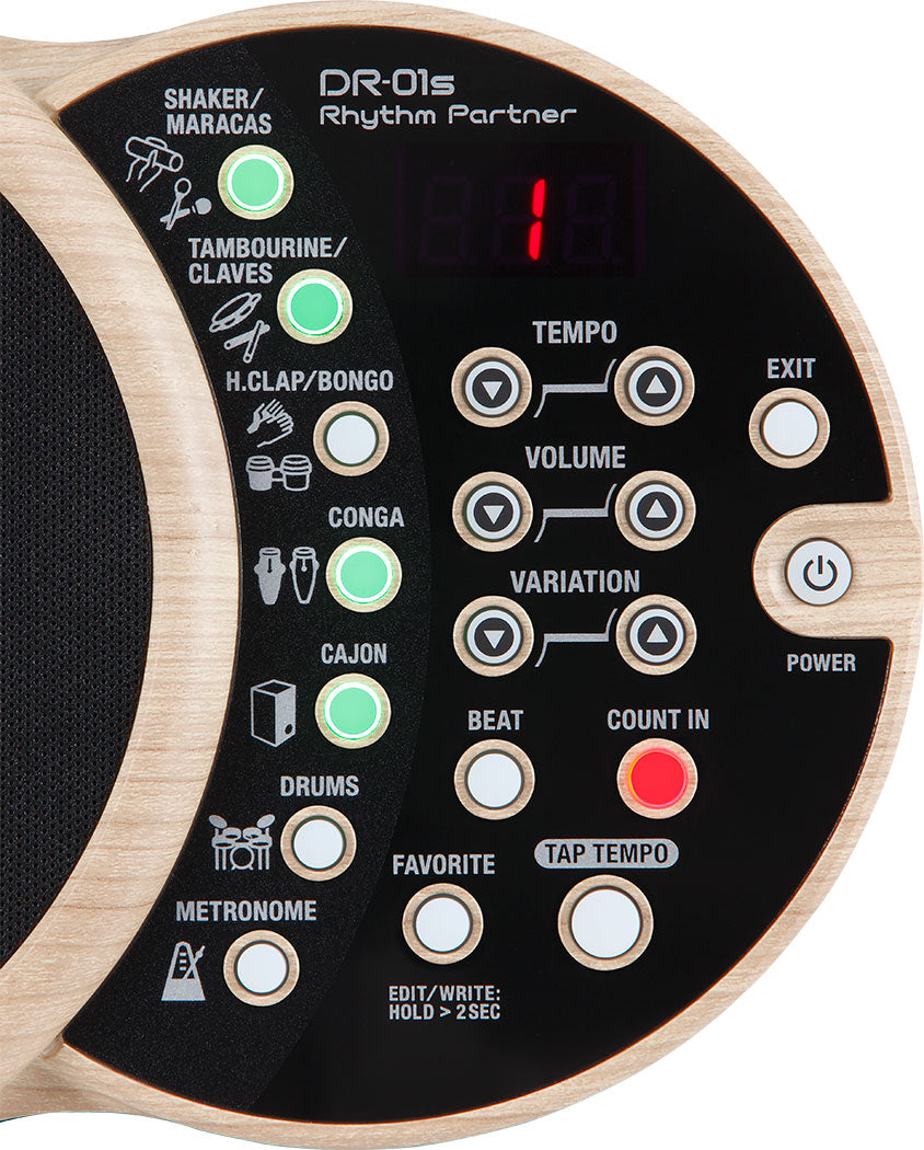 BOSS DR-01S Rhythm Partner