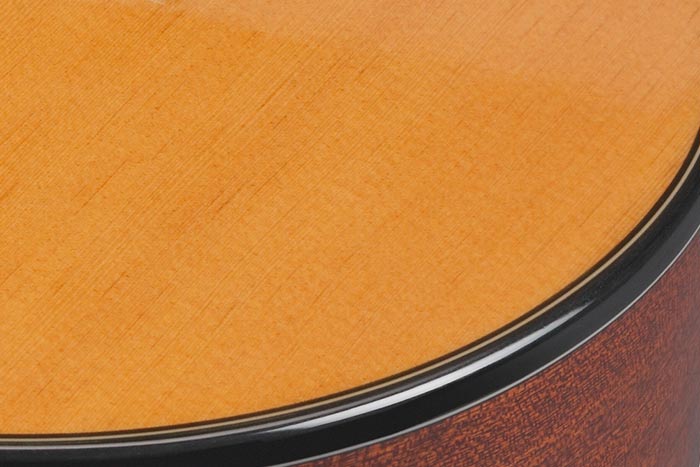 Spruce top