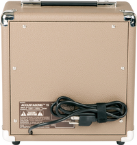 Fender Acoustasonic 15