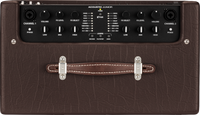 Fender Acoustic Junior