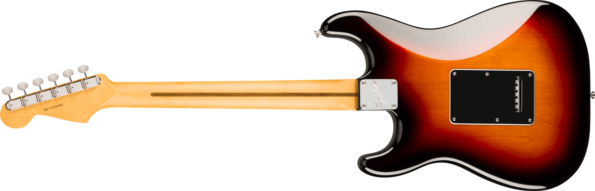 Fender American Professional Classic Stratocaster, back view