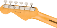Fender American Professional Classic Stratocaster