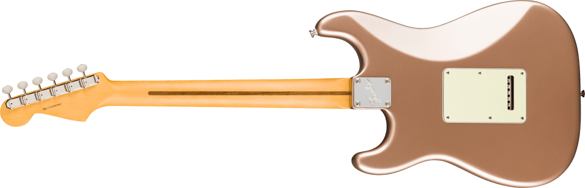 Fender American Professional Classic Stratocaster, back view