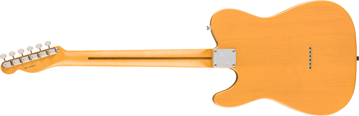 Fender American Professional Classic Telecaster, back view