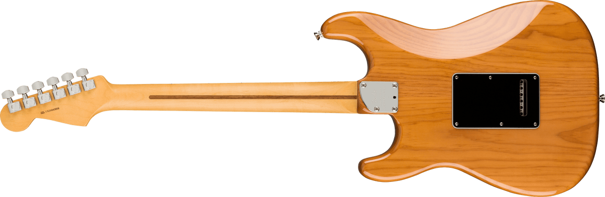 Fender American Professional II Stratocaster HSS, back view