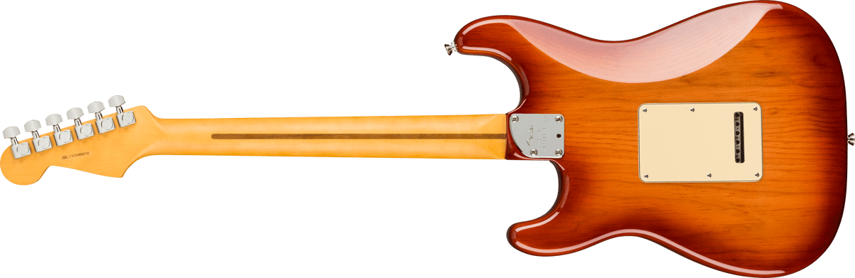 Fender American Professional II Stratocaster, back view