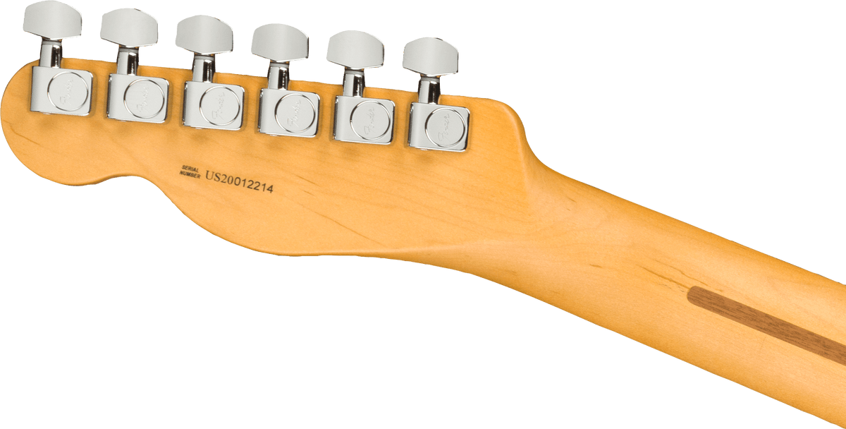 Fender American Professional II Telecaster, headstock, back