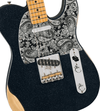 Fender Brad Paisley Road Worn Telecaster