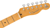 Fender Brad Paisley Road Worn Telecaster