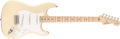 Fender Eric Clapton Stratocaster, front view