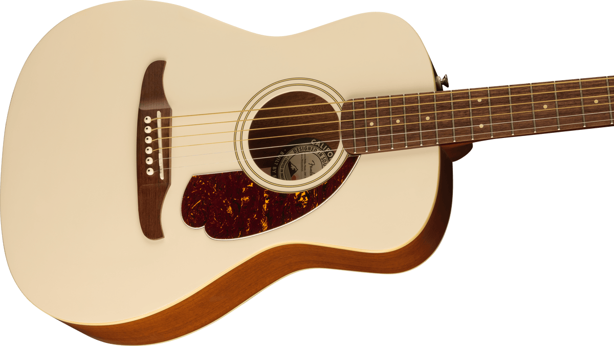 Fender Malibu Player, body detail