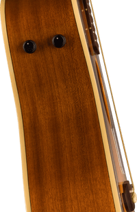 Fender Malibu Player