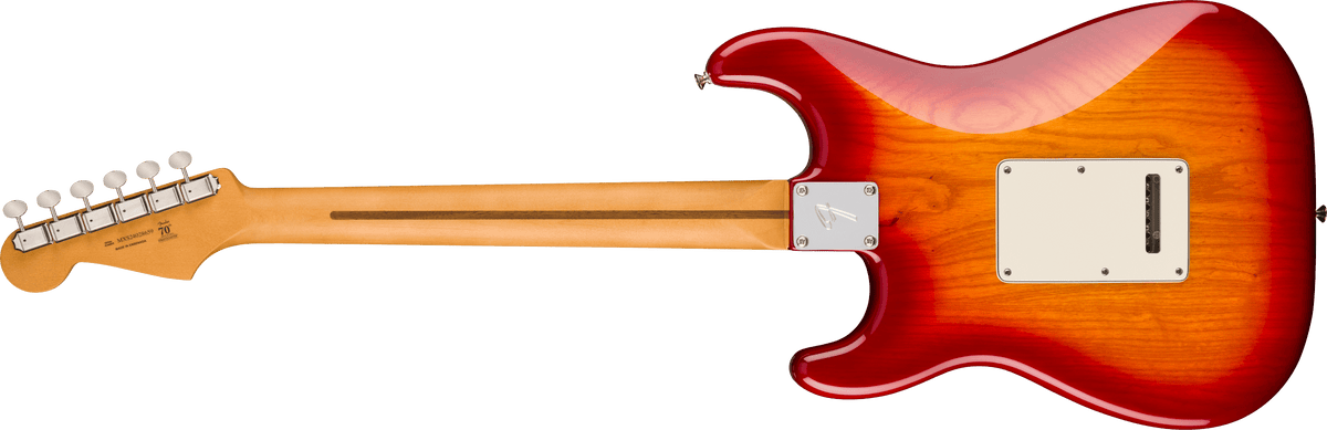 Fender Player II Stratocaster, back view