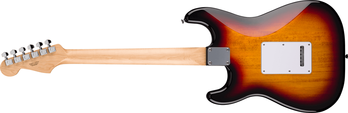 Fender Standard Stratocaster, back view