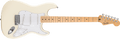 Fender Standard Stratocaster, front view