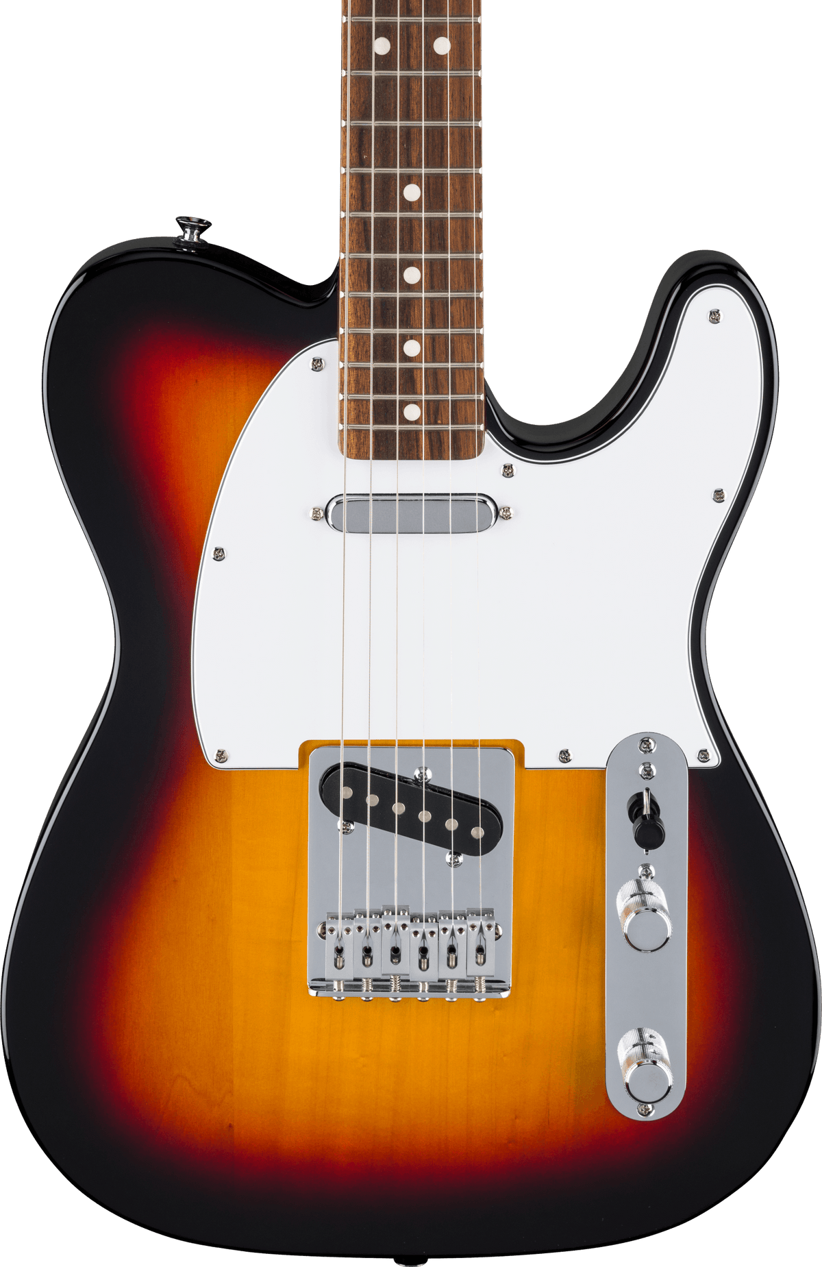 Fender Standard Telecaster, fingerboard detail
