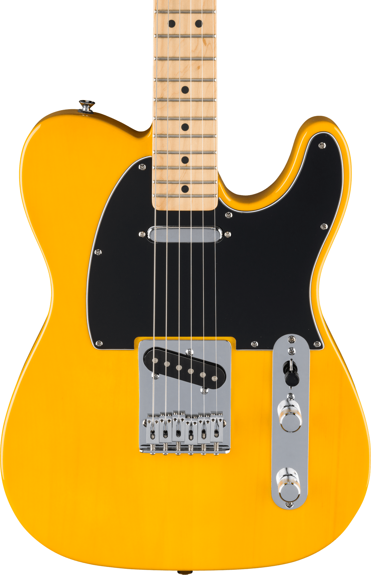 Fender Standard Telecaster, fingerboard detail