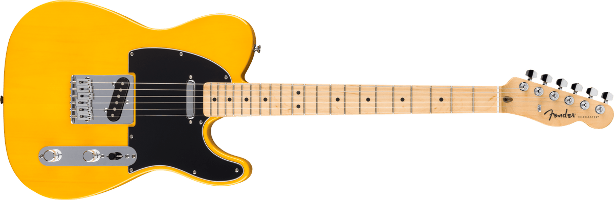 Fender Standard Telecaster, front view