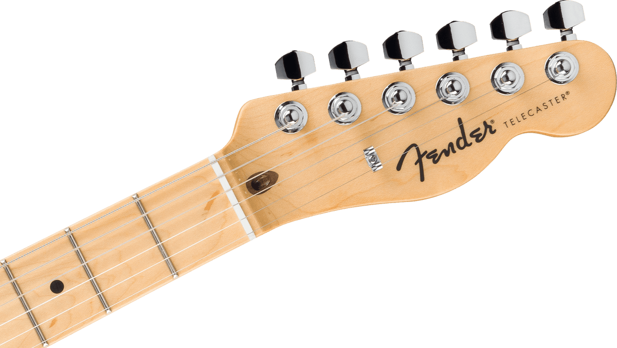 Fender Standard Telecaster, headstock, front