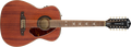 Fender Tim Armstrong Hellcat-12 String
