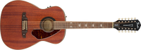 Fender Tim Armstrong Hellcat-12 String