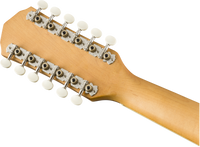 Fender Tim Armstrong Hellcat-12 String