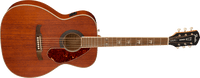 Fender Tim Armstrong Hellcat