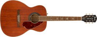 Fender Tim Armstrong Hellcat