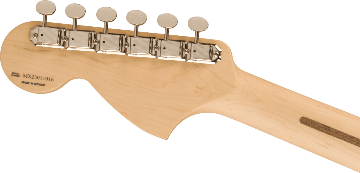 Fender Tom DeLonge Stratocaster