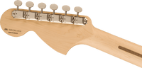 Fender Tom DeLonge Stratocaster