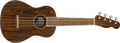 Fender Zuma Exotic Concert Ukulele, front view